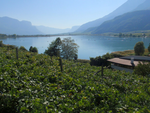 Some of the last views of the lake.
